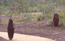 Bulto Ityangga-Awakening, growing Burro mandi Malone 2009 (2)