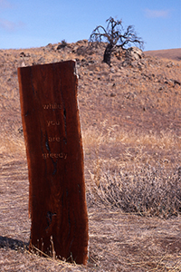 Chthonic Voices Palmer Sculpture Biennial Malone 2004 (3)