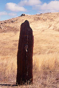 Chthonic Voices Palmer Sculpture Biennial Malone 2004 (5)