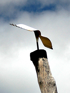 Tjirbruki Narna arra' Malone (2) 1997