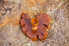 Unyielding Faith Palmer Sculpture Biennial Malone 2008 (3)