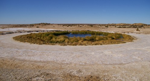 Blanche Cup Mound Spring, Malone
