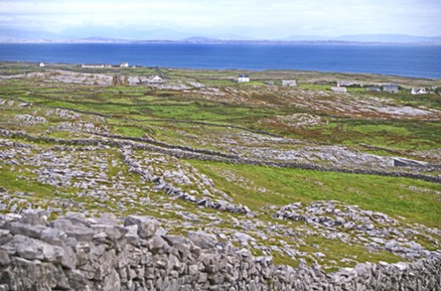 Inishmore Malone 2008